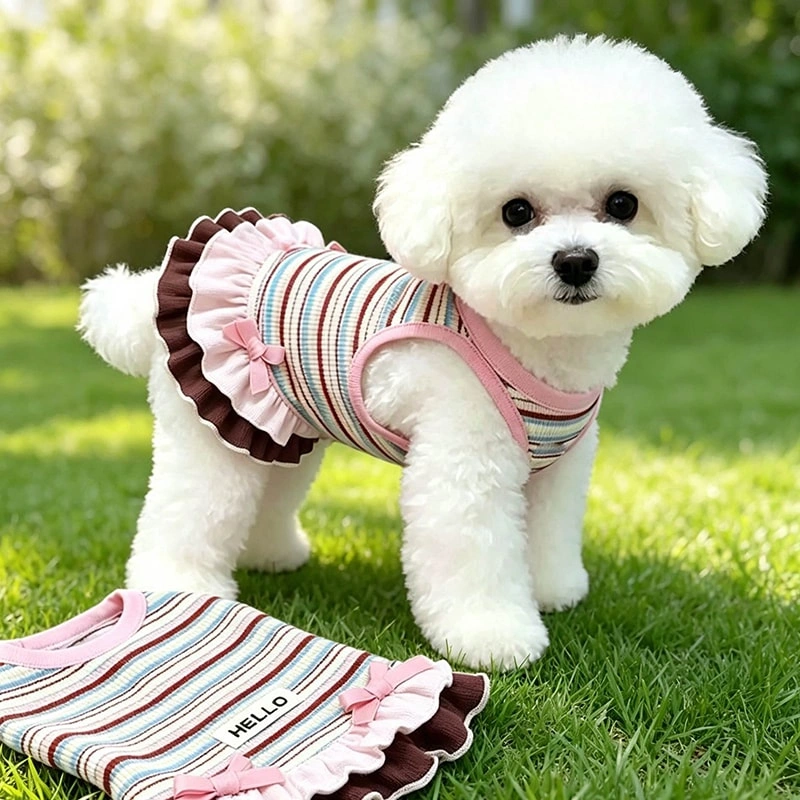 Professional OEM & ODM Custom Pet Clothing Service Helps You Build Exclusive Pet Brand