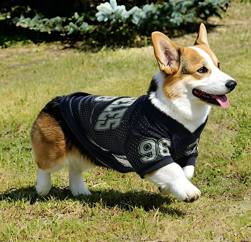 Premium Durable Pet Wear with Strict Quality Control, Stable Factory Supply for Long-Term Global Importers
